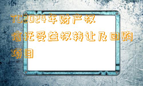 TC2024年财产权信托受益权转让及回购项目