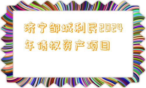 济宁邹城利民2024年债权资产项目