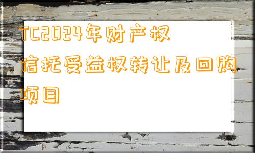 TC2024年财产权信托受益权转让及回购项目