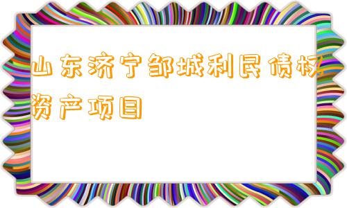 山东济宁邹城利民债权资产项目