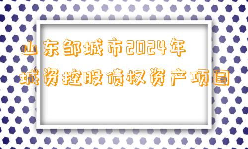 山东邹城市2024年城资控股债权资产项目