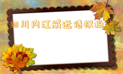 四川内江威远债权拍卖 