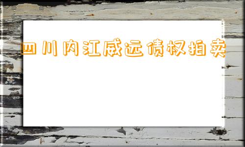 四川内江威远债权拍卖 