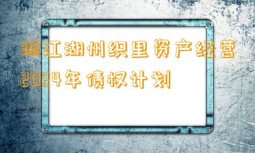 浙江湖州织里资产经营2024年债权计划