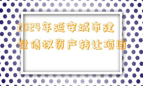 2024年延安城市建设债权资产转让项目