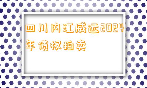 四川内江威远2024年债权拍卖