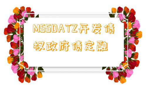 MSSDATZ开发债权政府债定融