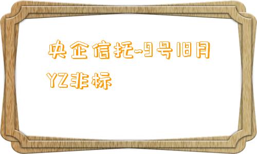 央企信托~9号18月YZ非标