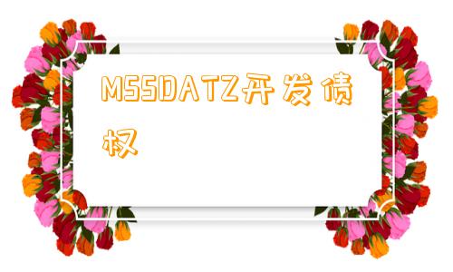 MSSDATZ开发债权