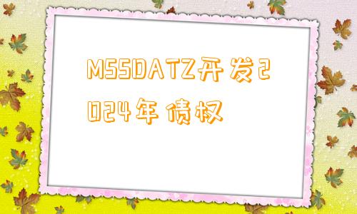 MSSDATZ开发2024年债权