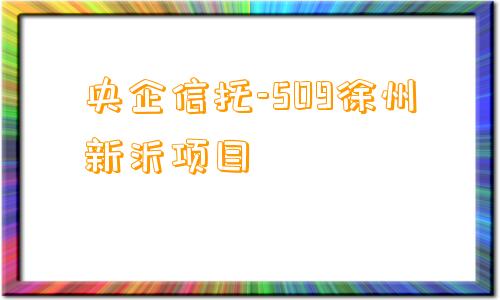 央企信托-509徐州新沂项目