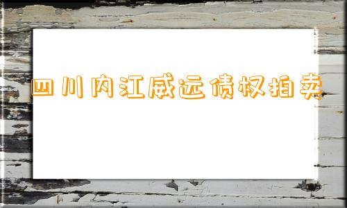 四川内江威远债权拍卖