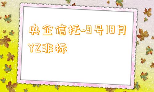 央企信托~9号18月YZ非标