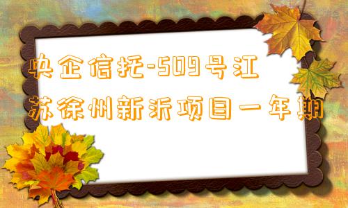 央企信托-509号江苏徐州新沂项目一年期