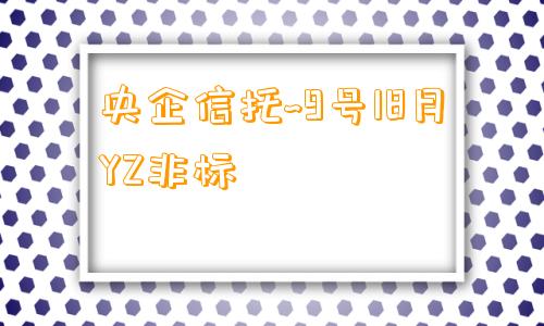 央企信托~9号18月YZ非标