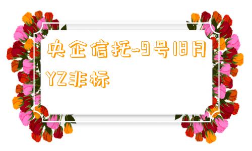 央企信托~9号18月YZ非标