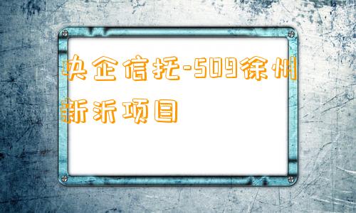 央企信托-509徐州新沂项目