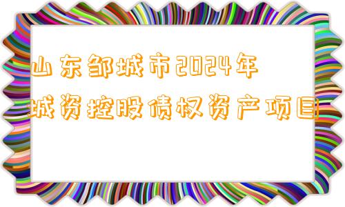 山东邹城市2024年城资控股债权资产项目