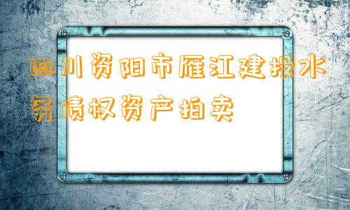 四川资阳市雁江建投水务债权资产拍卖