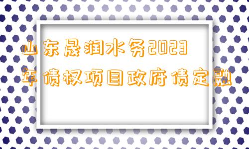 山东晟润水务2023年债权项目政府债定融