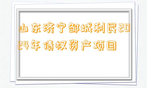 山东济宁邹城利民2024年债权资产项目