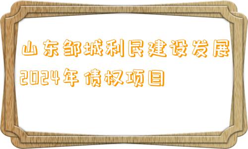 山东邹城利民建设发展2024年债权项目