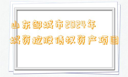 山东邹城市2024年城资控股债权资产项目