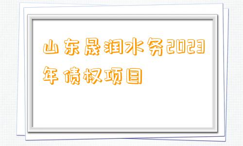 山东晟润水务2023年债权项目