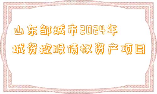 山东邹城市2024年城资控股债权资产项目