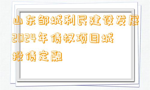 山东邹城利民建设发展2024年债权项目城投债定融