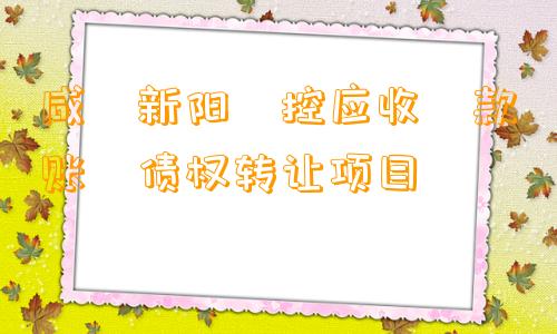 咸‮新阳‬控应收‮款账‬债权转让项目