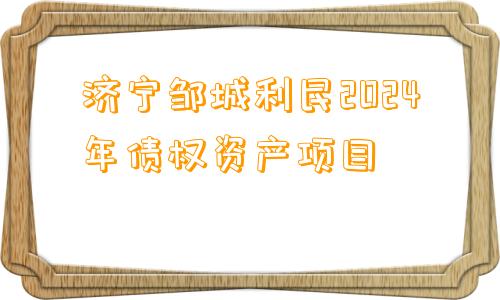 济宁邹城利民2024年债权资产项目