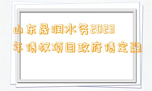 山东晟润水务2023年债权项目政府债定融