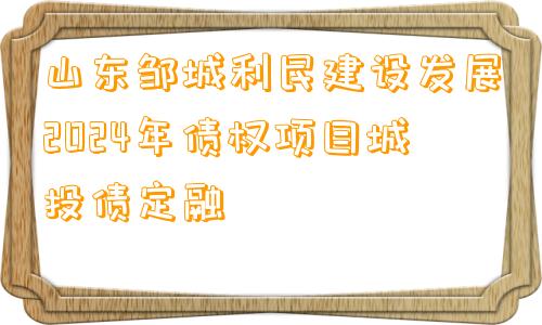 山东邹城利民建设发展2024年债权项目城投债定融