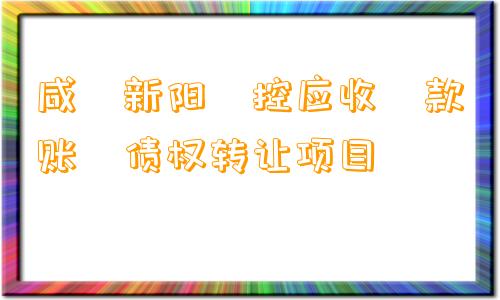 咸‮新阳‬控应收‮款账‬债权转让项目