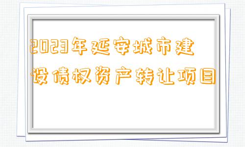 2023年延安城市建设债权资产转让项目