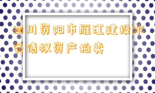 四川资阳市雁江建投水务债权资产拍卖