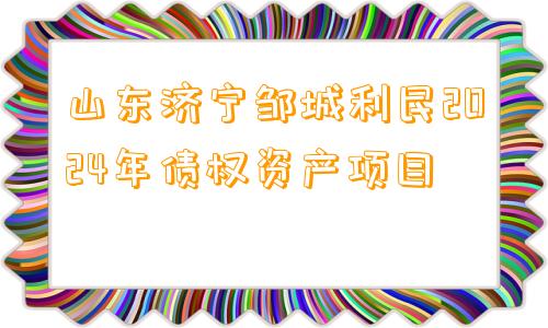 山东济宁邹城利民2024年债权资产项目