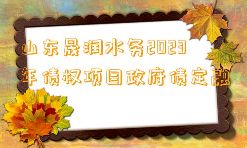 山东晟润水务2023年债权项目政府债定融