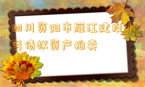 四川资阳市雁江建投水务债权资产拍卖