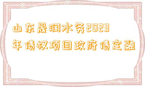 山东晟润水务2023年债权项目政府债定融