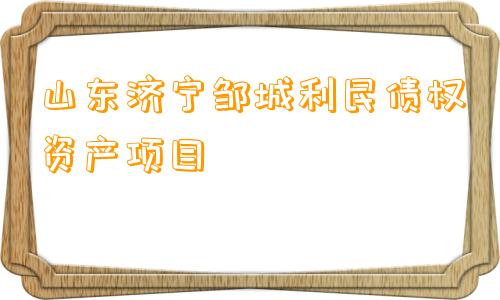 山东济宁邹城利民债权资产项目