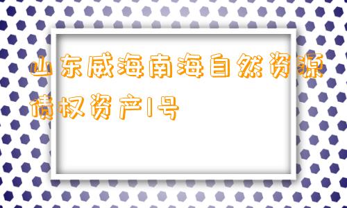 山东威海南海自然资源债权资产1号