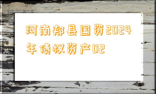 河南郏县国资2024年债权资产02