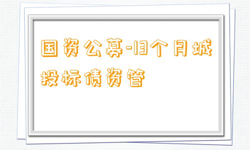 国资公募-13个月城投标债资管