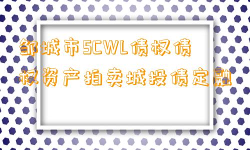 邹城市SCWL债权债权资产拍卖城投债定融