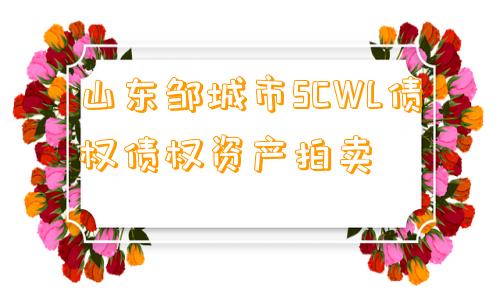 山东邹城市SCWL债权债权资产拍卖