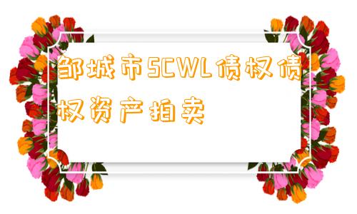 邹城市SCWL债权债权资产拍卖