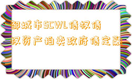 邹城市SCWL债权债权资产拍卖政府债定融