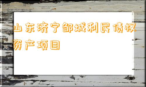 山东济宁邹城利民债权资产项目